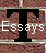  Essays 