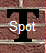  Spot 