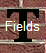  Fields 