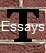  Essays 